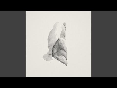 Jabu (3) — On