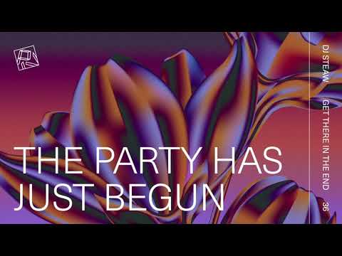 DJ Steaw — DJ Steaw - The Party Has Just Begun (PIV036)