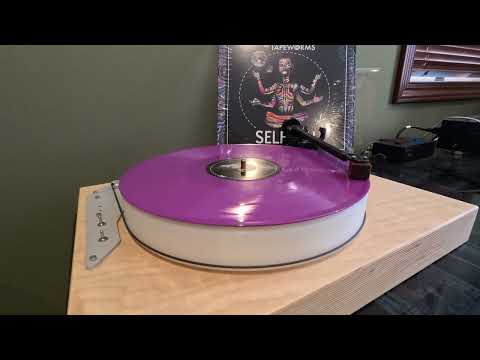 Will Wood And The Tapeworms — Will Wood and the Tapeworms - Self-ish - A1 - Self- - Purple Vinyl Record