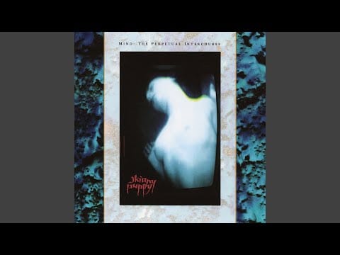 Skinny Puppy — Burnt With Water
