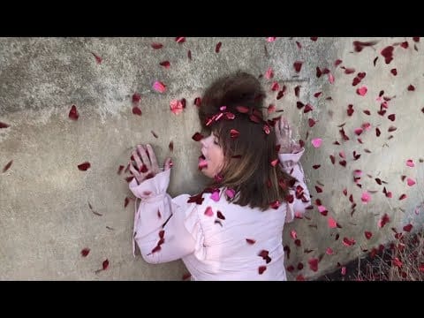Edyta Bartosiewicz — Edyta Bartosiewicz feat. Kabaret Hrabi - Cyrk