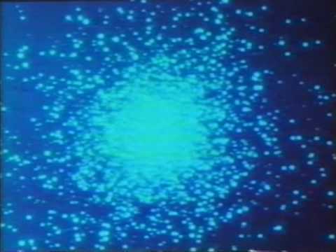 Fool's Gold — Fool's Gold - Nadine (Memory Tapes Version)