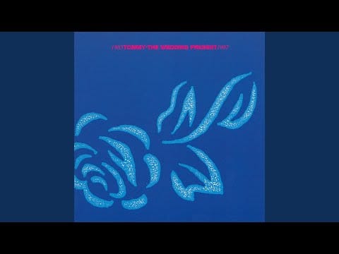 The Wedding Present — At the Edge Of The Sea