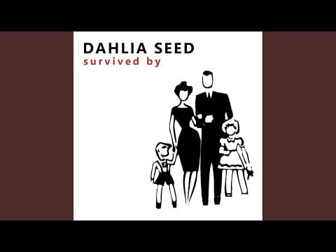 Dahlia Seed — Butterfly Kick