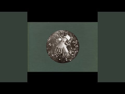 aspidistrafly — Sea of Glass