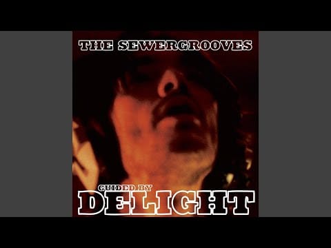 The Sewergrooves — Living in Another World