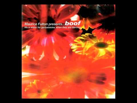 Maurice Fulton — Boof (Maurice Fulton) - Little light (2000)