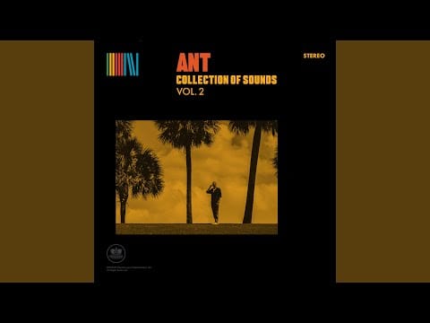 A.N.T. — A Sagittarian Wrote It