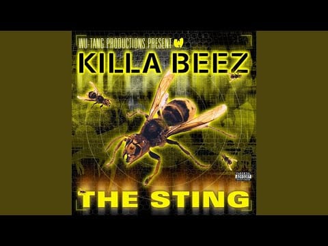 Wu-Tang Killa Bees — Take Up Space