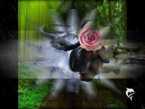 Anita Hegerland — Anita Hegerland - Like A Rose On A Rainy Day