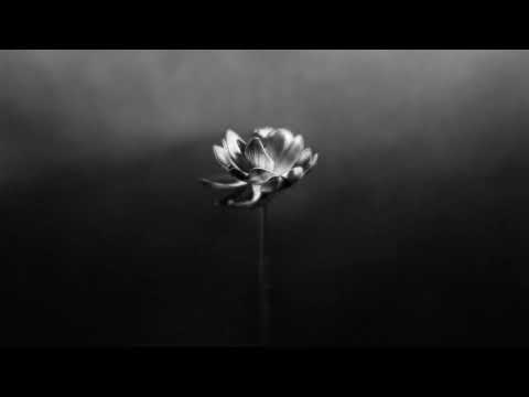 Little Simz — Lonely
