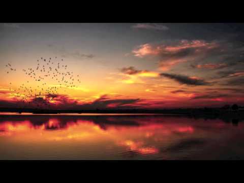 Phaeleh — Phaeleh - Afterglow (Akira Kiteshi Remix)