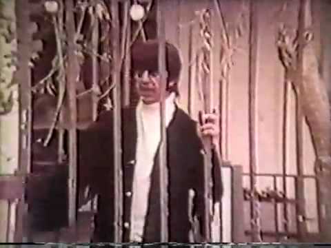 Mark Lindsay — Mark Lindsay - Miss America (tv clip)
