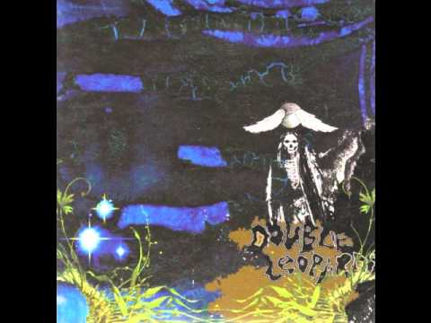 Double Leopards — Double Leopards-Hemisphere In Your Hair (Excerpt)