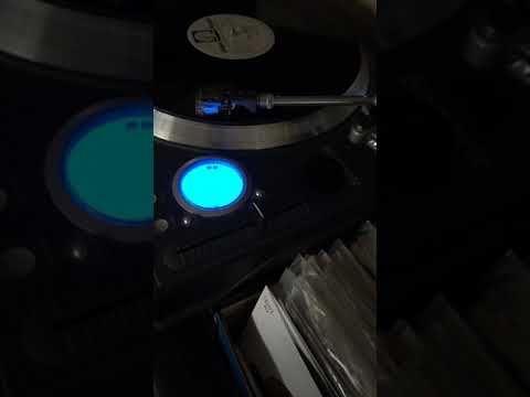 Drac — Drac - I Want Your Love