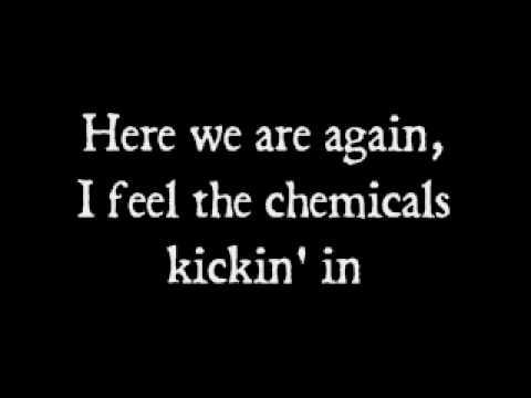Neon Trees — Animal - Neon Trees Lyrics
