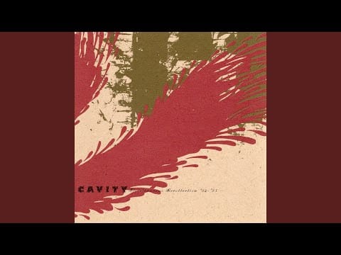 Cavity (3) — Wounded