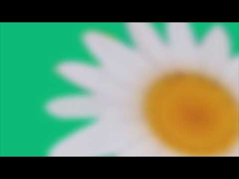 Ulla Straus — Ulla - song