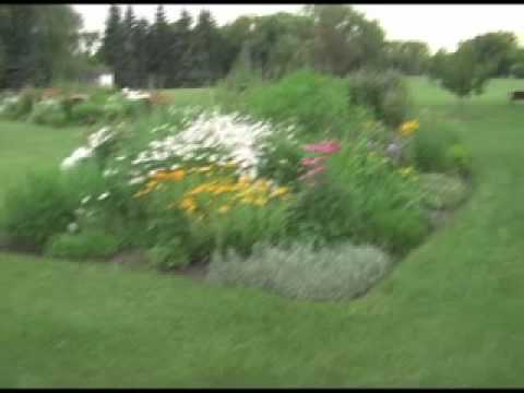 Ohama — Tona Walt Ohama "Discipline Is Freedom"- Riley Park Flowers by Sue Murphy in Calgary