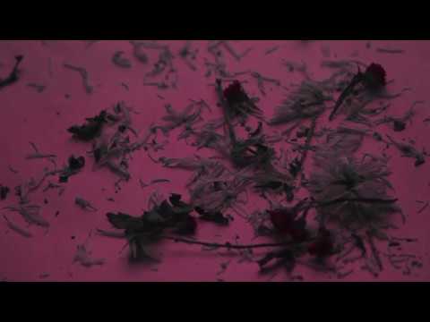 Sex Park — SEX PARK - DIGNITY