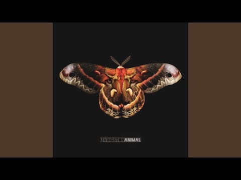 Livingston — Animal