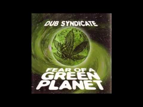Dub Syndicate — Dub syndicate - Higher than high