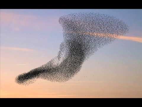DJ Martin (5) — Earsugar - Womanizer (Quantize remix)