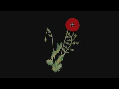 Alexandra Savior — Alexandra Savior - Belladonna of Sadness (Full Album)