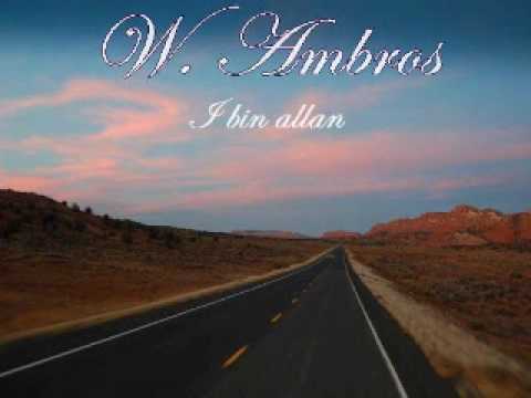 Wolfgang Ambros — Wolfgang Ambros - I bin allan