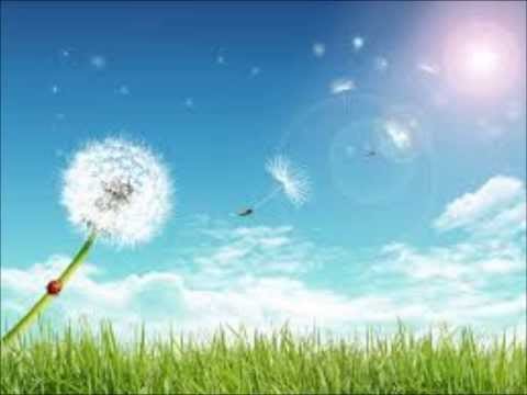 DJ Sammy — Dj Sammy - Boys of Summer [Green Court Remix]