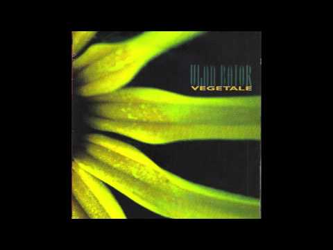 Ulan Bator — Ulan Bator "Lumière Blanche / Schneeturm"