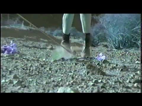 Eternal Summers — Eternal Summers "Millions"