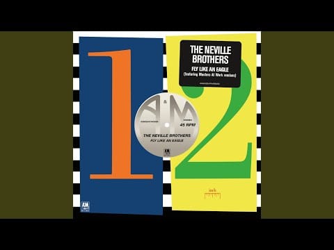 The Neville Brothers — Fly Like An Eagle (Instrumental)