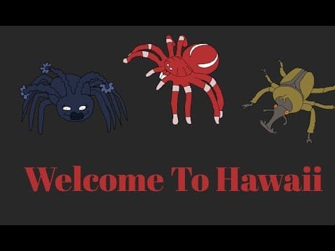 Royal Hawaiian Minstrels — Bug World Production Music: Nostalgic Hawaii