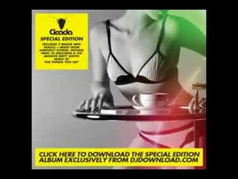 Cicada — Cicada - Harmonic