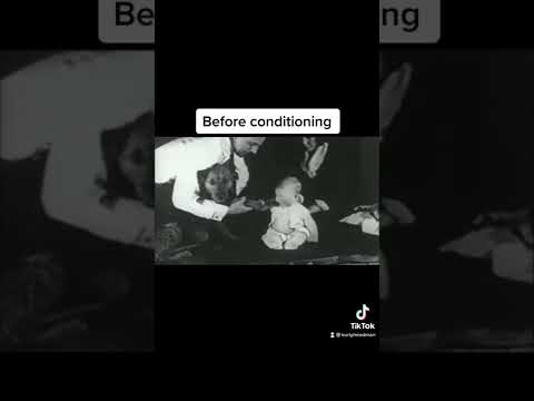 Off With Their Heads — Science experiments that went wrong😳 #shorts