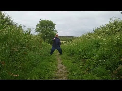 Richard Dawson — Richard Dawson - Horse and Rider (Official Video)