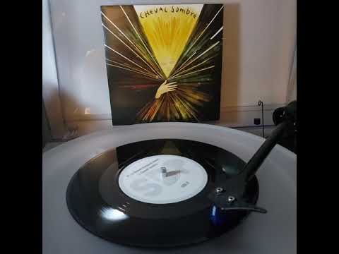 Cheval Sombre — Cheval Sombre - It's A Shame (Original Demo)