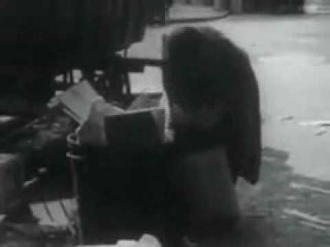 Piero Piccioni — Piero Piccioni - Magic in New York (from the film Lucky Luciano)