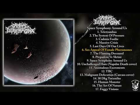 Carnal Diafragma — Carnal Diafragma - Space Symphony Around Us FULL ALBUM (2006 - Goregrind)