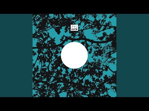 Nick & Danny Chatelain — Sube Conmigo (Audio Soul Project Remix)