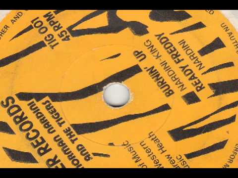 Norman Nardini And The Tigers — Norm Nardini and the Tigers ~ burnin' up.mov