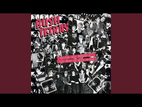 Bush Tetras — You Don't Know Me