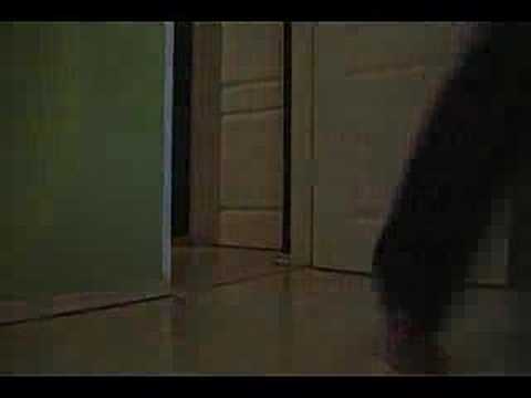 Sandi Thom — Lonely Girl Sandi Thom