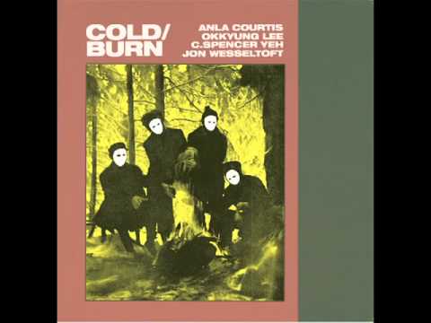 Okkyung Lee — Anla Courtis, Okkyung Lee, C.Spencer Yeh, Jon Wesseltoft  "COLD-BURN" from Feeding Tube