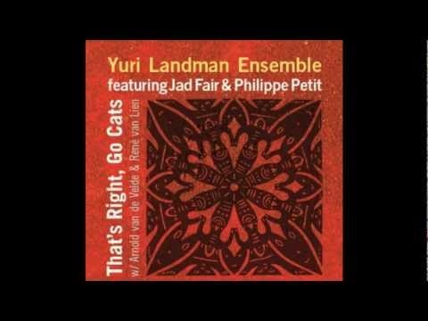 Jad Fair — Yuri Landman Ensemble - Interlude II / Soundtrack to a Panic Attack