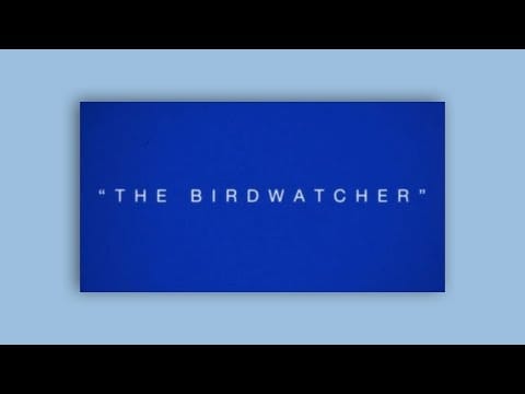 Vulfpeck — VULFPECK /// The Birdwatcher [LYRIC VIDEO]