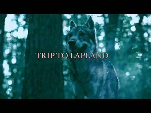 Dr. Peacock — Dr. Peacock & Billx - Trip to Lapland