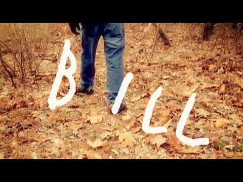 BILL (85) — BILL - BLUE SKIES