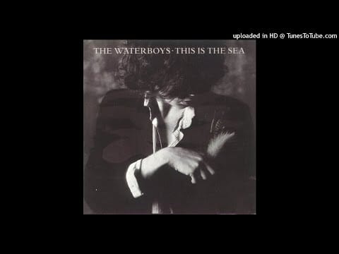 The Waterboys — The Waterboys - this is the sea * 1985